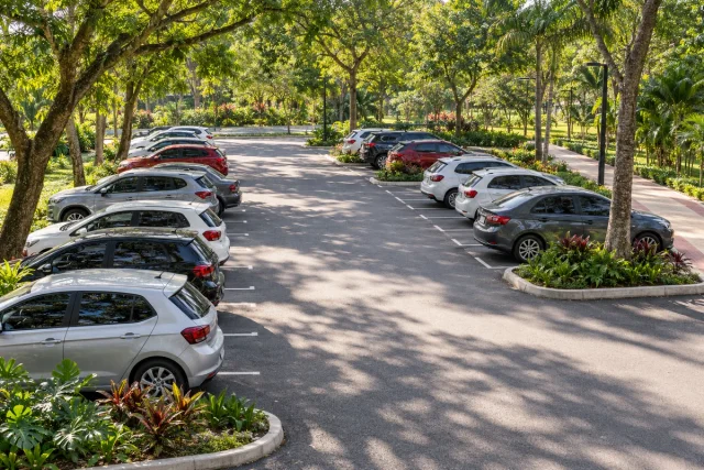 Ilustração de um estacionamento arborizado com vagas e caminho de pedestres